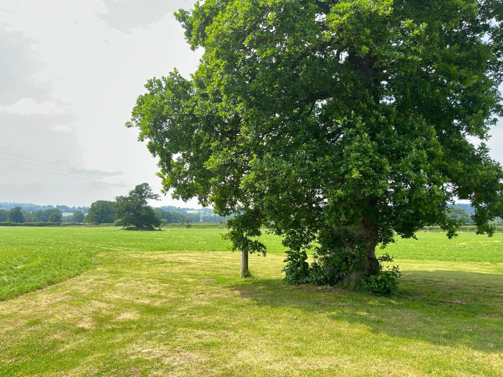 Moreton-in-Marsh Pass The Keys Hare Cottage Wonderful Views And Parking מראה חיצוני תמונה